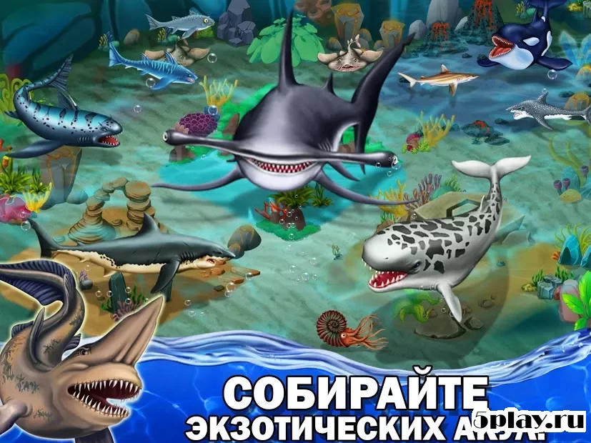 Shark World screenshot