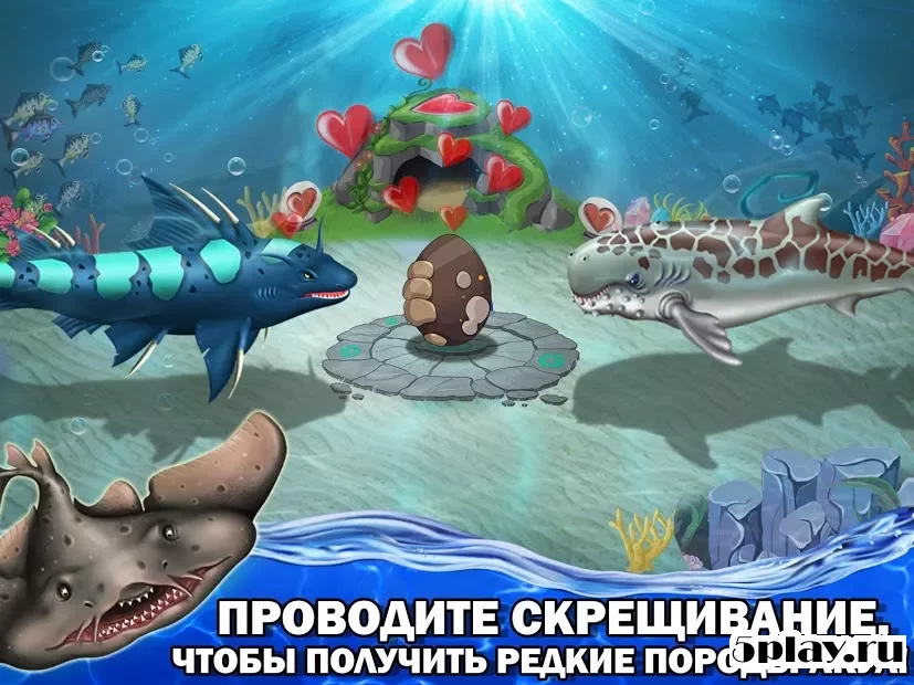Shark World screenshot