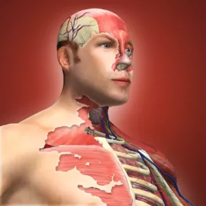 Idle Human icon