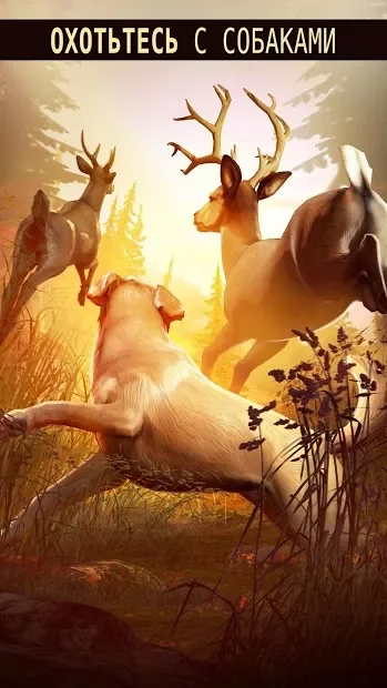 DEER HUNTER screenshot