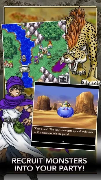 DRAGON QUEST V screenshot