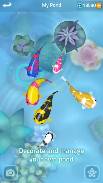 Zen Koi 2 screenshot