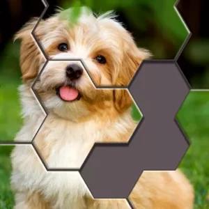 Hexa Jigsaw Puzzle ™ icon