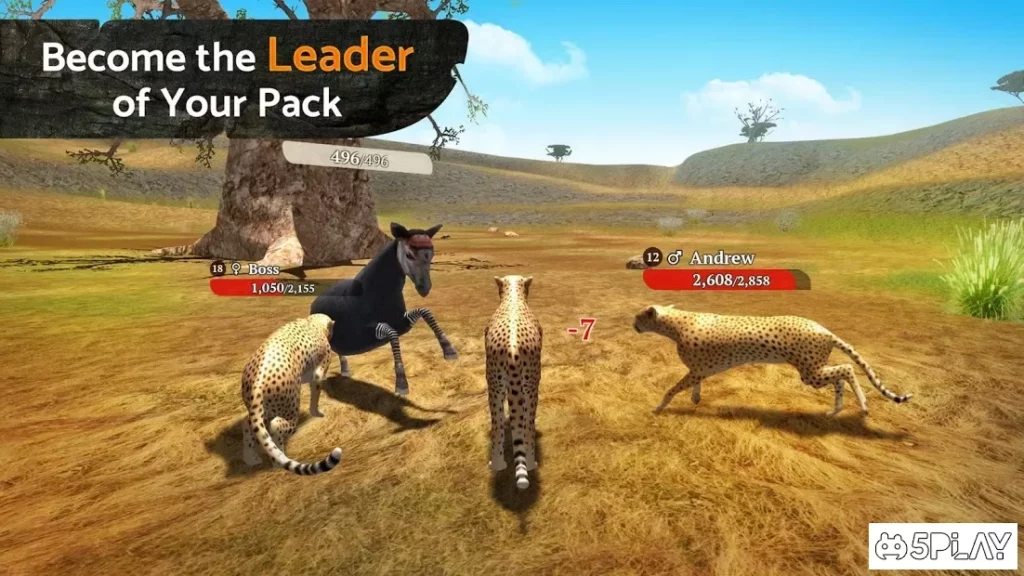 The Cheetah screenshot