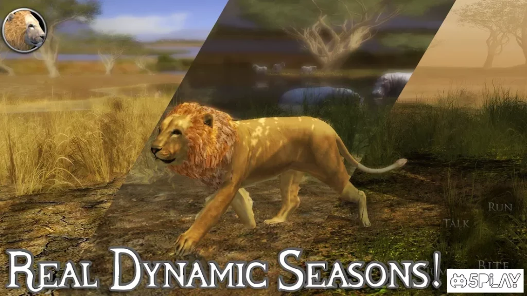 Ultimate Lion Simulator 2 screenshot