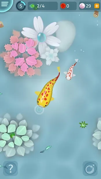 Zen Koi screenshot