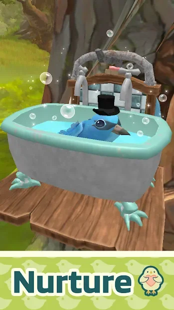 Bird BnB screenshot
