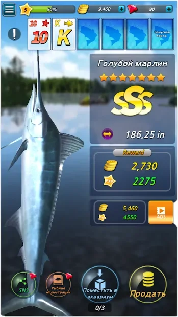 Fishing Season : River To Ocean screenshot