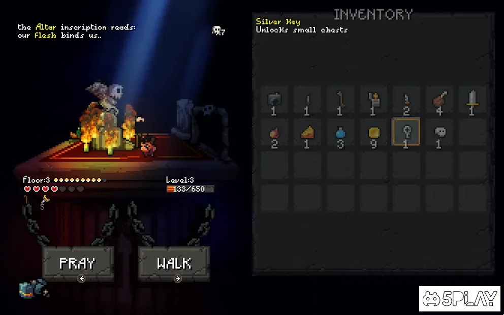 Sir Questionnaire screenshot