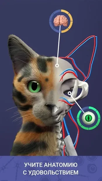 Idle Pet - Create cell by cell screenshot