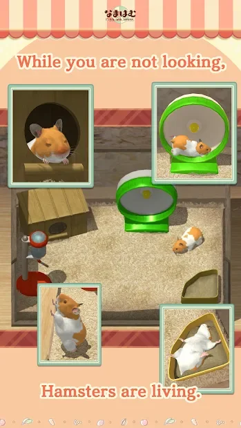 Namaham screenshot