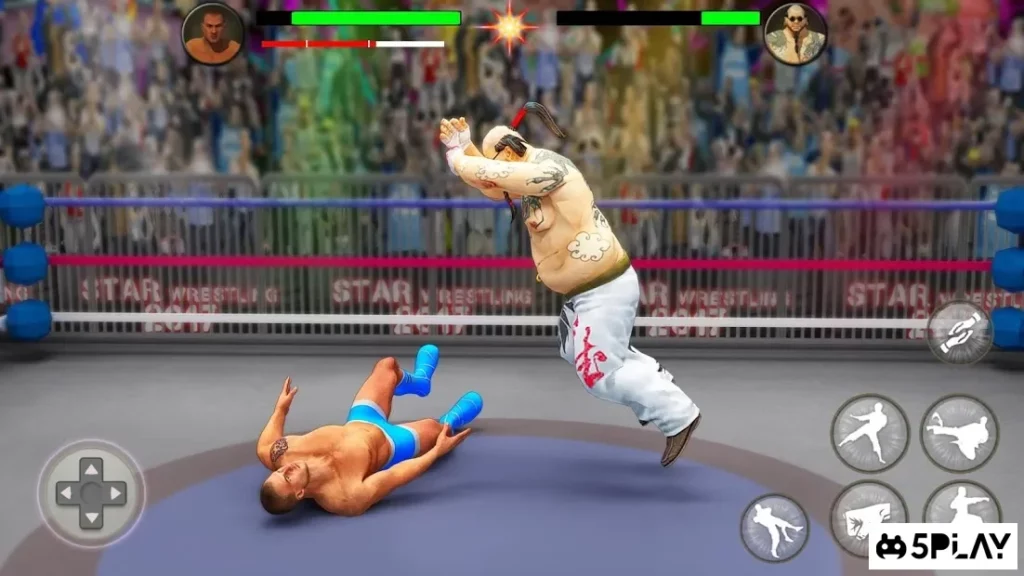 World Tag Team Wrestling Revolution Чемпионат screenshot
