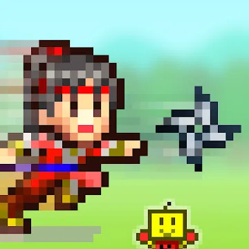Ninja Village icon