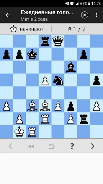 Шахматные головоломки screenshot