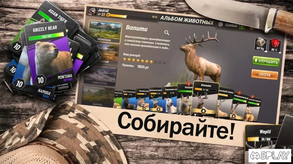Hunting Clash: Охота на животных. Игра про охоту screenshot