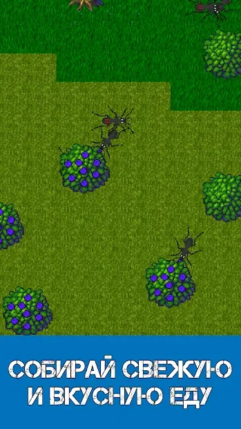 Ant Evolution - симулятор муравей screenshot
