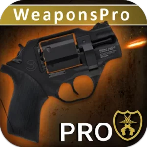 Конечной Симулятор Оружие Pro icon