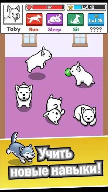 Pet idle screenshot