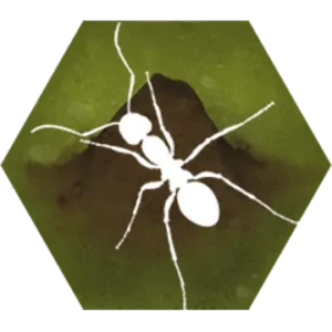 Finally Ants icon