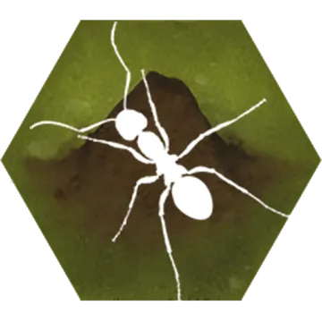 Finally Ants icon