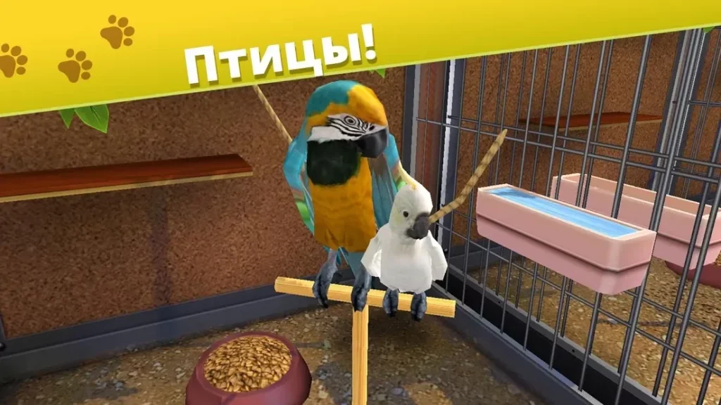 Мир питомцев — Приют для животных screenshot