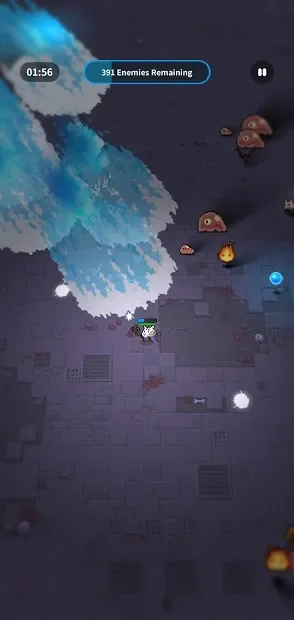 Animal Wizard screenshot