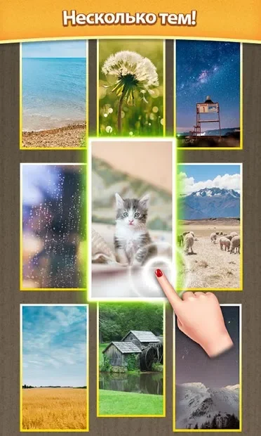 Слияние кости screenshot