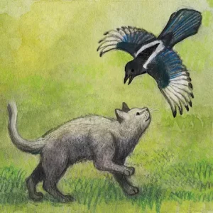Milo and the Magpies 1.0.21