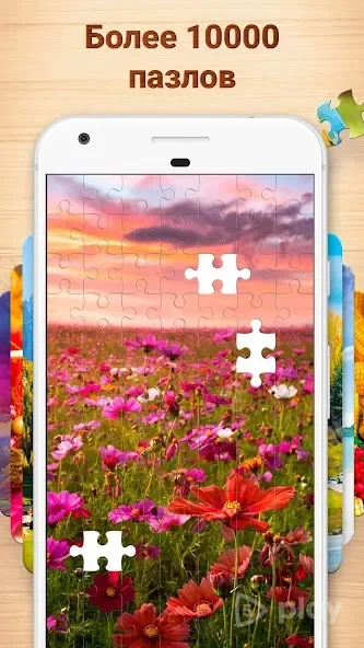 Пазлы для взрослых screenshot