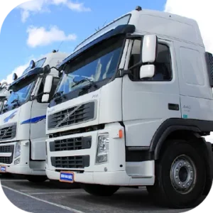 Heavy Truck Simulator icon