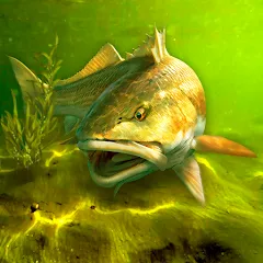 My Fishing World - Реальная рыбалка icon