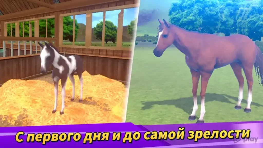 Derby Life screenshot