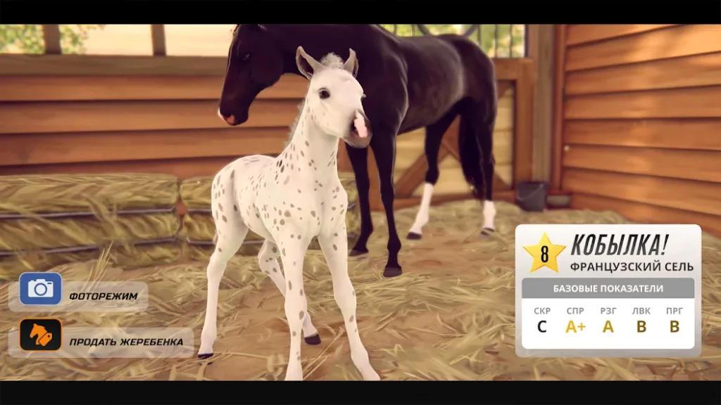 Состязание звезд: скачки screenshot