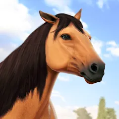 Состязание звезд: скачки icon